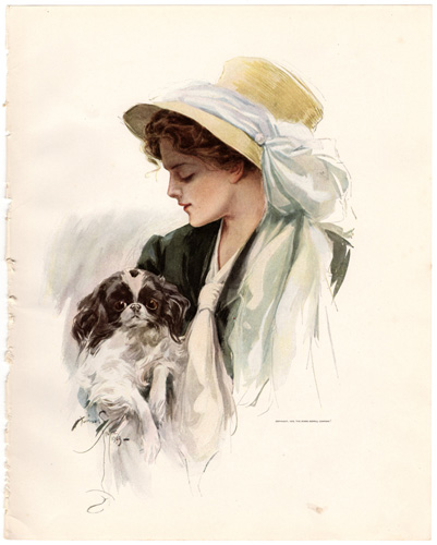 American Beauties by Harrison Fisher (1909)